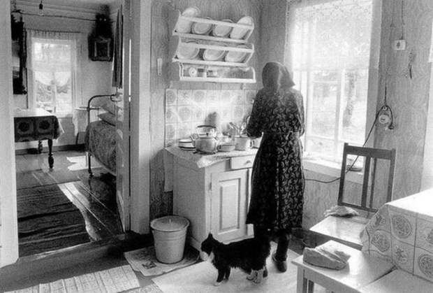 Лови момент или мастерство фотографа, подборка фотографий 2