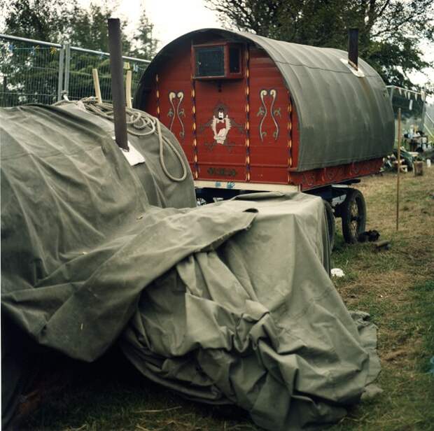 1 fotoproekt Iena MakKella 55