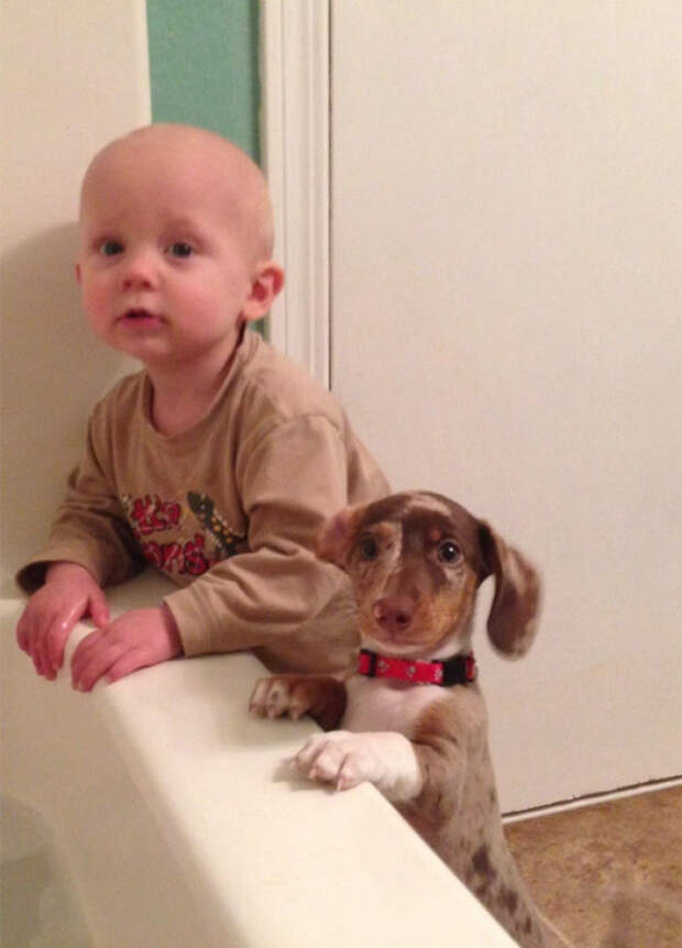 My Nephew And His New Pup Before Bath Time