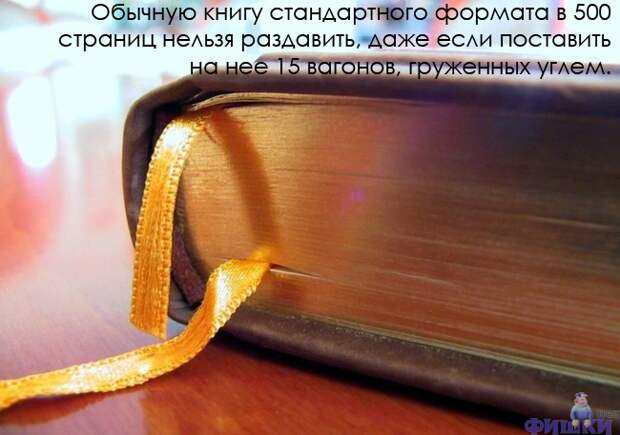 Интересные факты в картинках (47 фото)