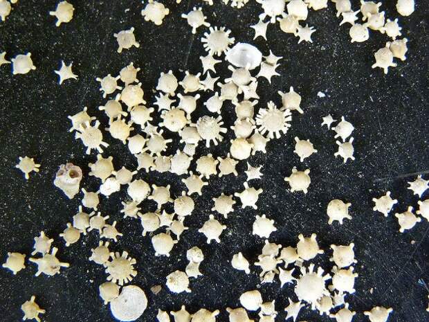 Star Sand Beach (Hoshizuna-no-hama) – Iriomote Island, Japan best beaches