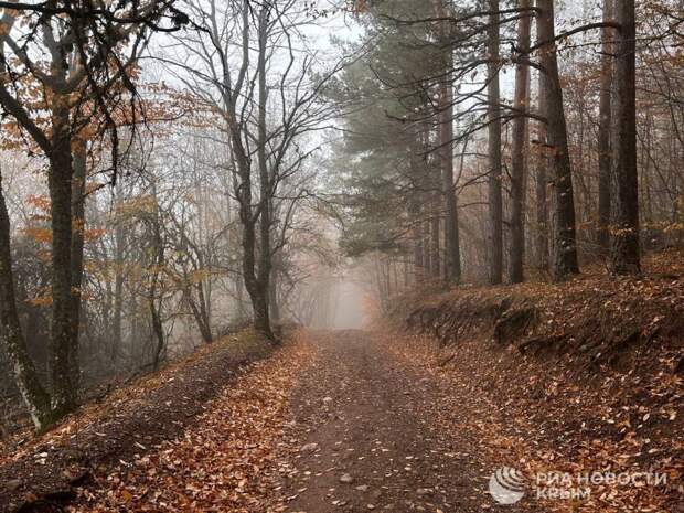 Чего ждать от погоды в Крыму на выходных?