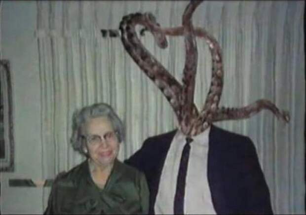 смешные, необъяснимые, фотографии,