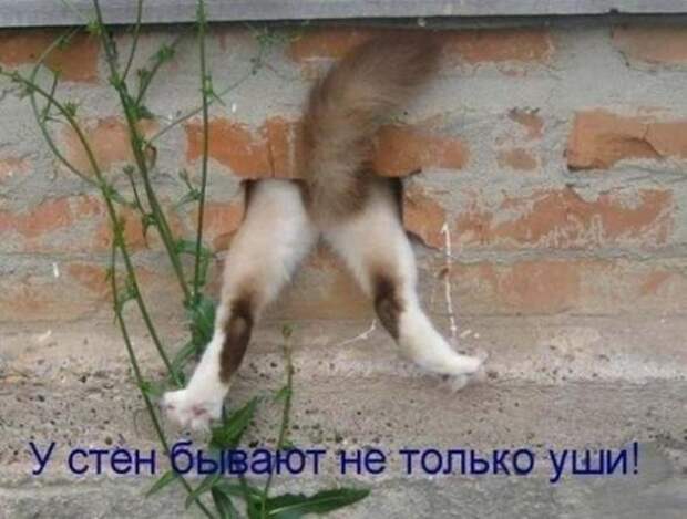 Смешная галерея фотоприколов  # 75