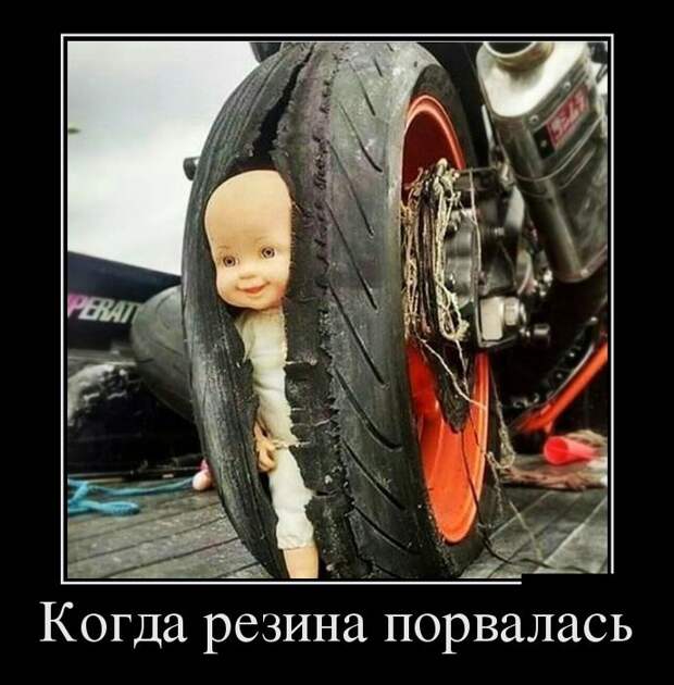 Пятничная подборка демотиваторов  демотиватор, юмор