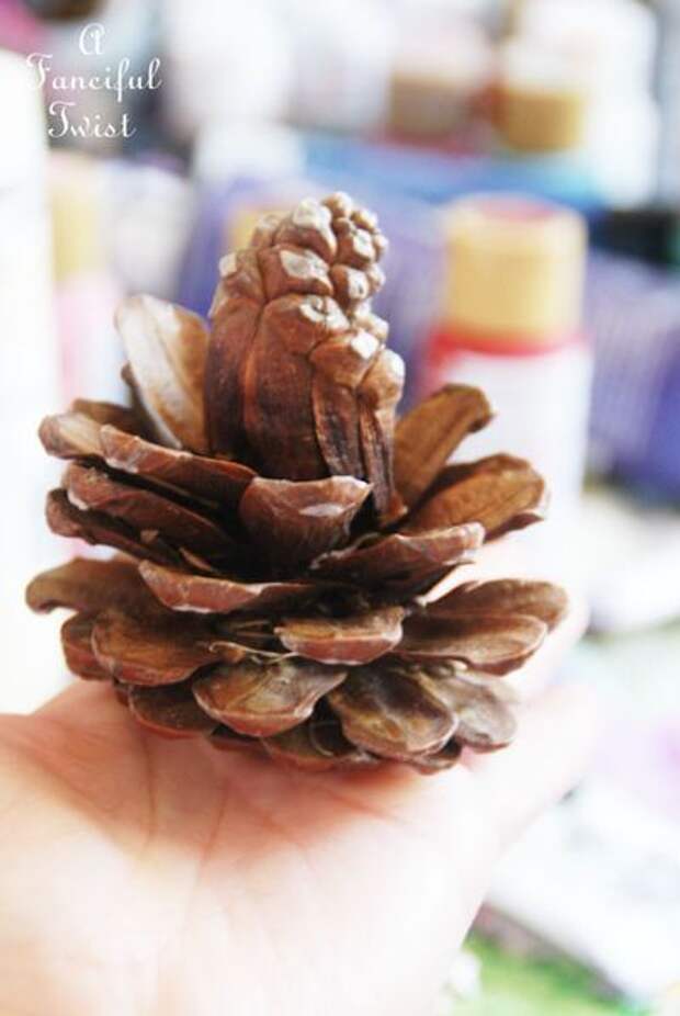Pinecone flowers 12