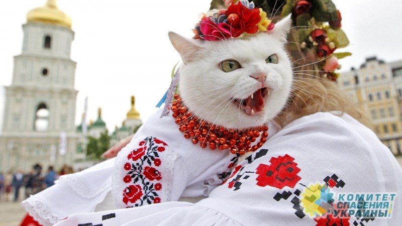 Украина сегодня - огромный фейк, переполненный нищими и озлобленными