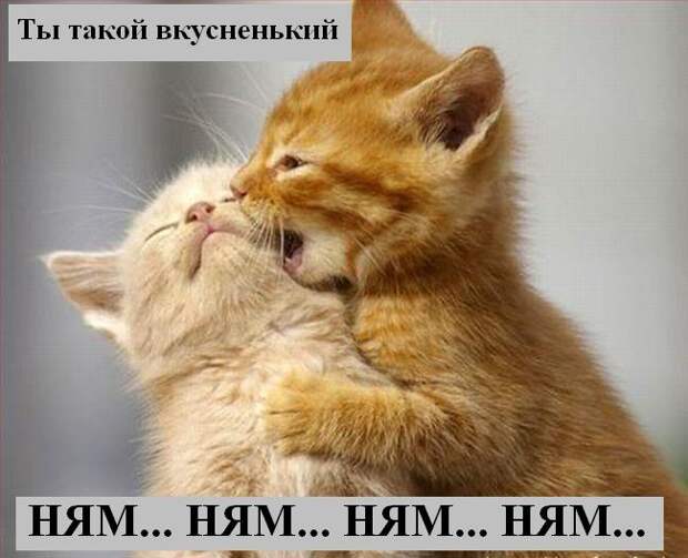 Мысли :) (50мыслей)