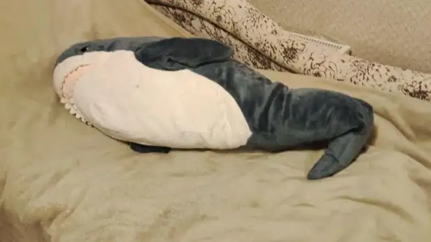 В ПЕТЕРБУРГЕ ИГРУШКИ ИЗ ЗАКРЫВШЕЙСЯ IKEA НАЧАЛИ ПРОДАВАТЬ ЗА МИЛЛИОНЫ РУБЛЕЙ