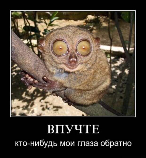 Веселая и прикольная подборка новеньких демотиваторов.!