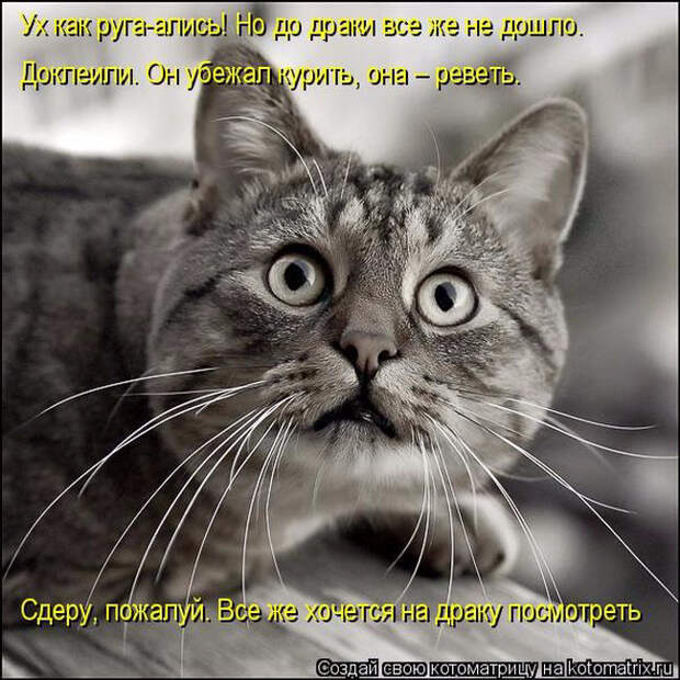 1429823347_41 (650x650, 337Kb)