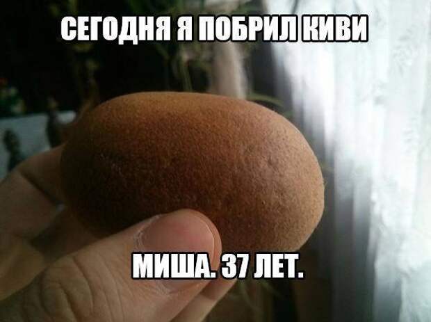 Яндекс-картинка