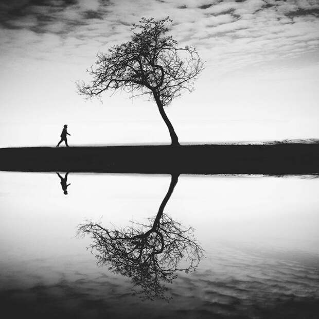 iphone photography award фото сделанные на смартфон (19)