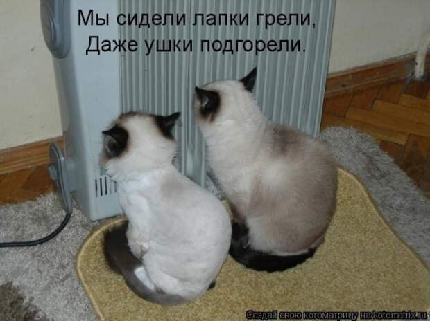 Забавные картинки с надписями " Жизнь в фотографии, фото жизни, юмор, демотиваторы, котоматрици, фото