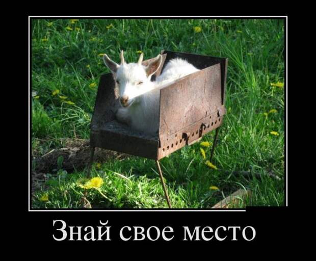 Демотиваторы демотиваторы, прикол, смех, юмор