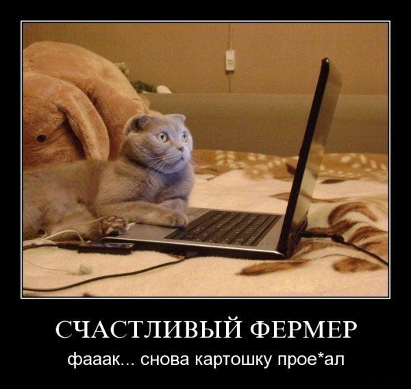 Демотиваторы (50 фото)