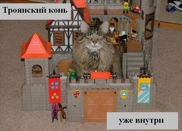 Мысли :) (50мыслей)