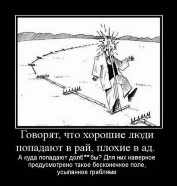 Веселые демотиваторы, приколы в каждом фото.
