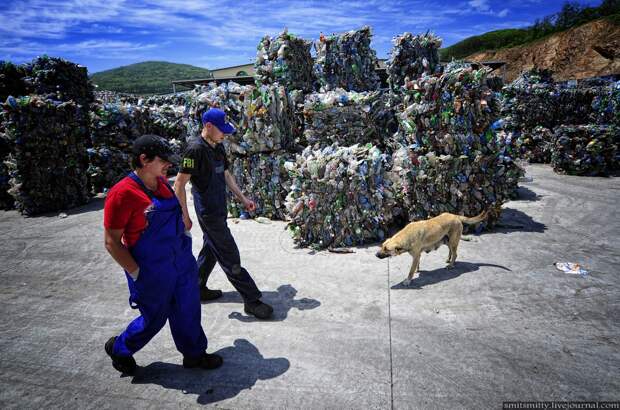 Как утилизируют мусор во Владивостоке владивосток, мусор, утилизация