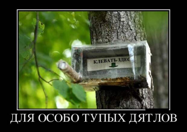 Демотиваторы №1102 (30 фото)