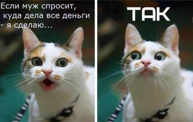 13 фактов о зарплате 13 фактов о зарплате деньги, зарплата, факты