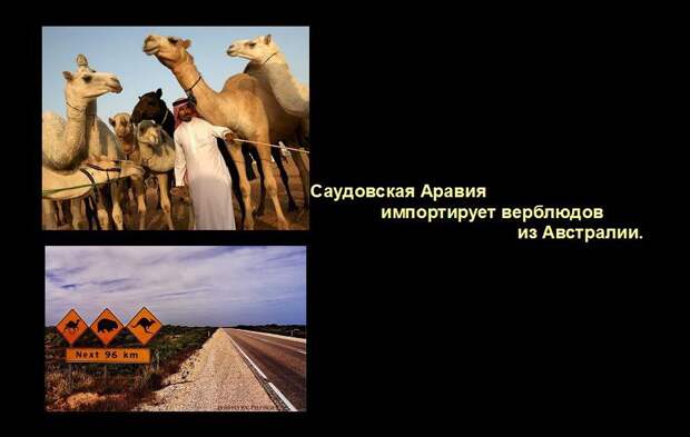 Мир удивителен, господа! Мир удивителен, господа! интересное, мир, невероятное