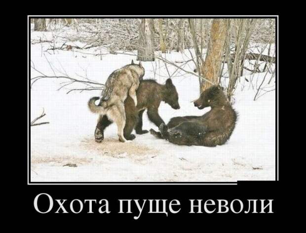 Демотиваторы (30 фото)