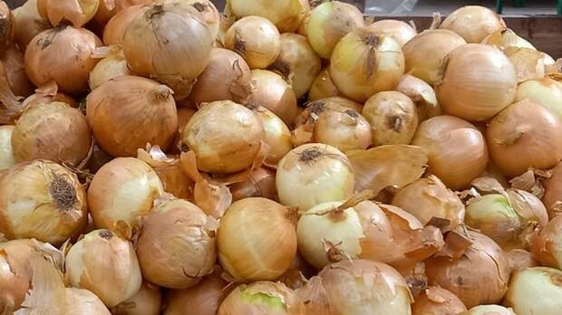 PR: растительное соединение кверцетин эффективно против возрастных заболеваний