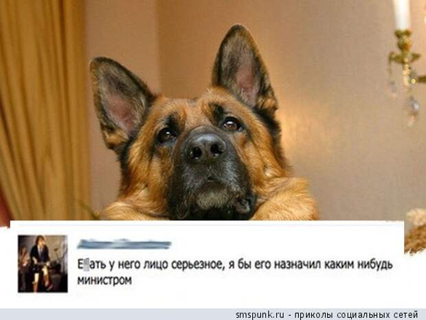 Приколы из социальных сетей и смешные смс-диалоги (30 картинок) Приколы из социальных сетей и смешные смс-диалоги (30 картинок)
