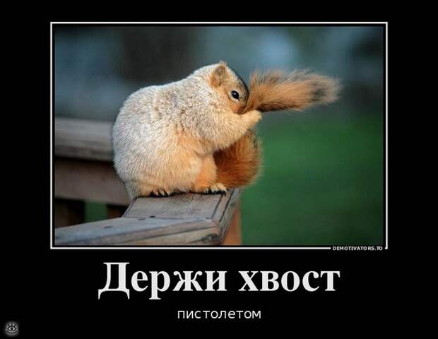 Пора сделать мир чище! 20