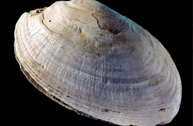 9. Самый древний образец абстрактного дизайна артефакты, история