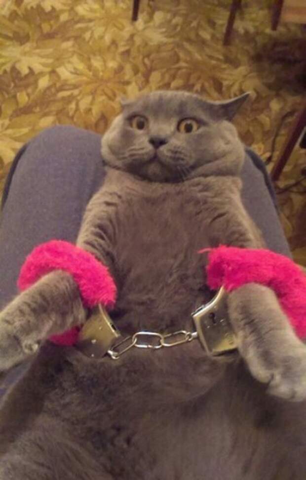 Прикольные картинки понедельника (44 шт)