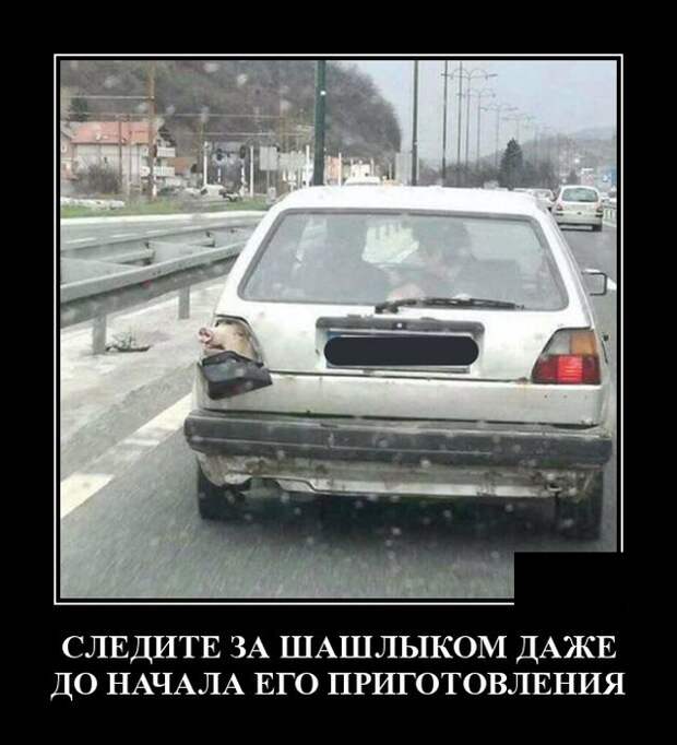 Демотиваторы (20 фото)