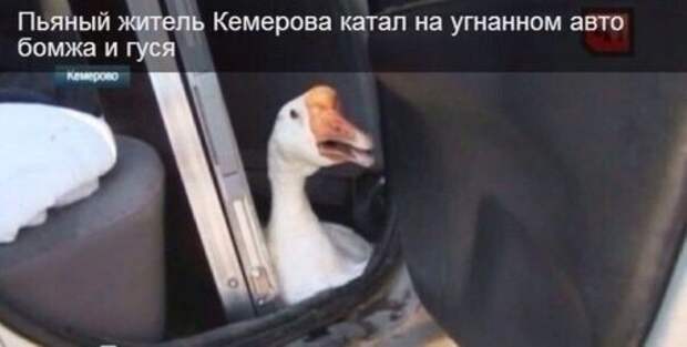 АВТОприкольные картинки для настроения (24 шт)