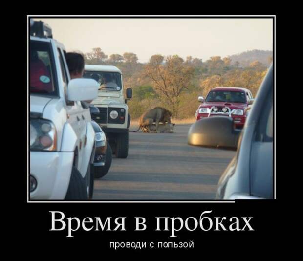 Подборка демотиваторов, которые поднимут вам настроение! демотиваторы, юмор
