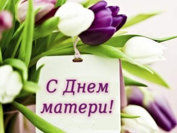 25 ноября в России празднуют День матери