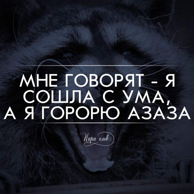 Игра слов Игра слов игра слов, юмор