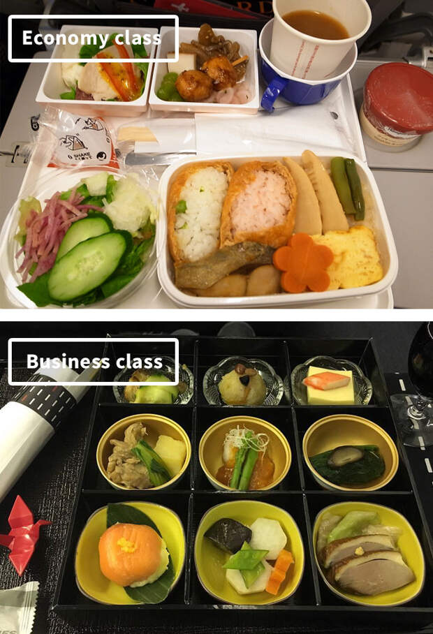 Japan Airlines-airline-food