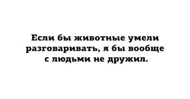 Классная порция цитат