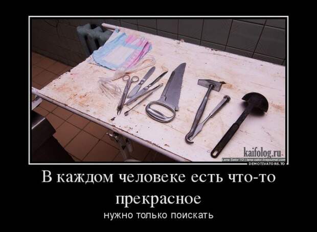 Демотиваторы - 248 (50 демотиваторов)