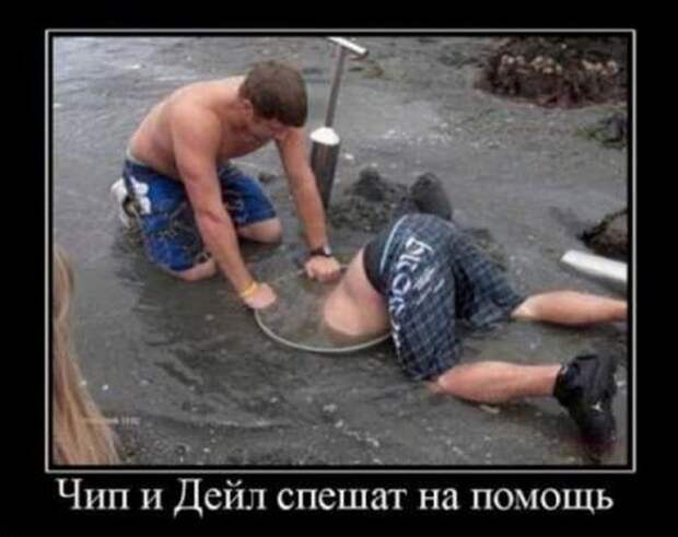 Демотиваторы (30 фото)