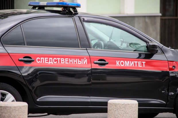 Российский пенсионер вызвал товарищу скорую и получил десять лет колонии