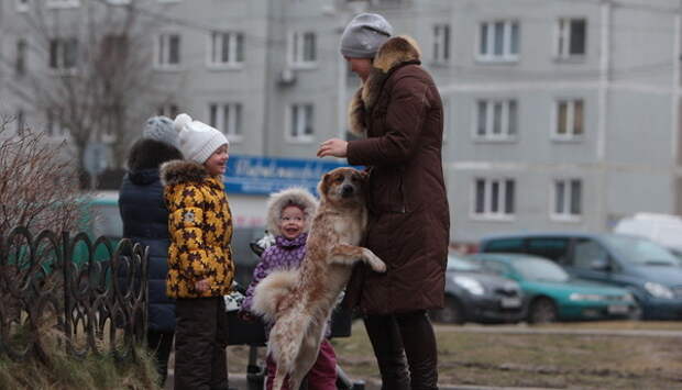 Фото Александра Подгорчука