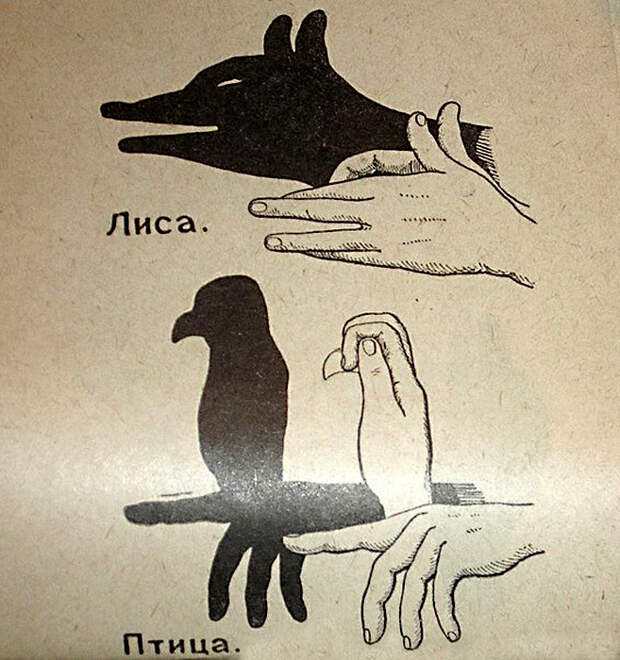 Театр теней: лиса и птица