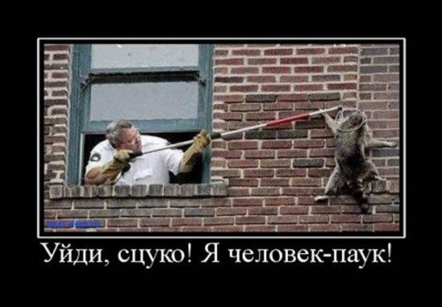 Прикольные демотиваторы, картинки и ржачные подписи.