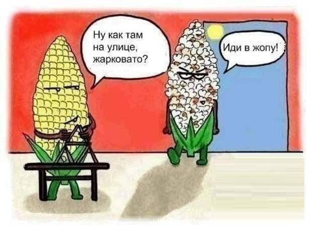 Подборка приколов подборка, прикол, хохма, юмор