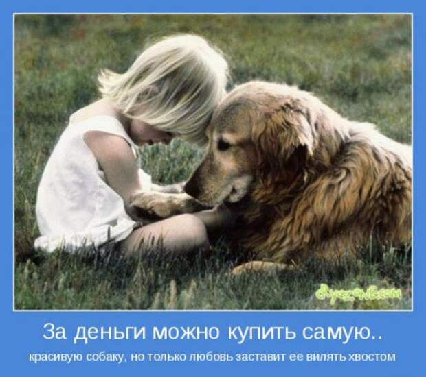 А теперь мотиваторы