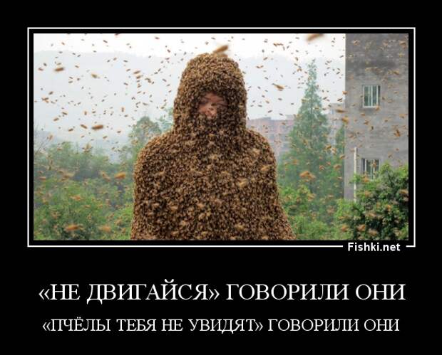 Демотиваторы демотиваторы