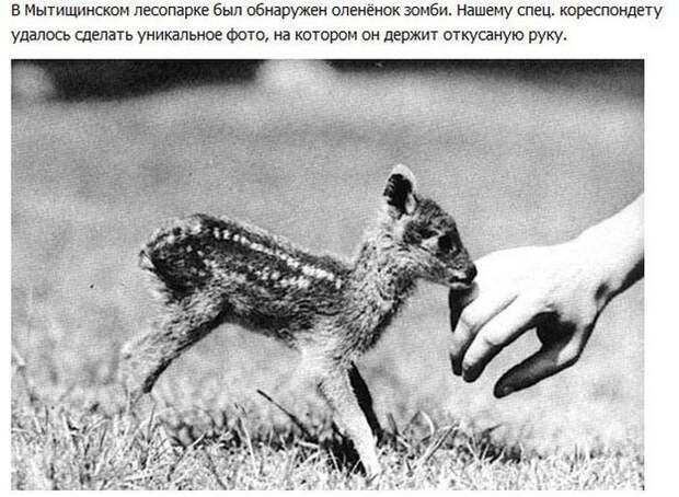 Прикольные картинки Прикольные картинки