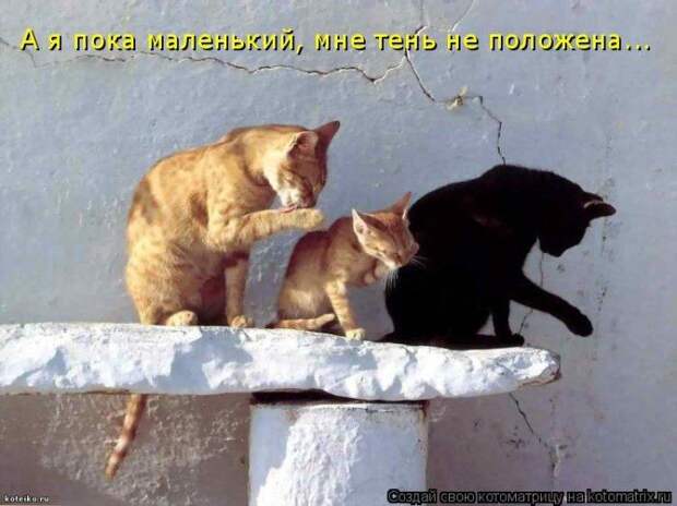 Мысли вслух :)